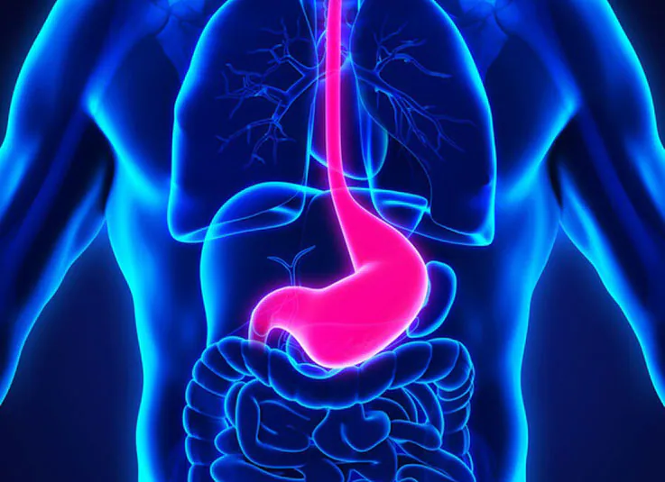esophageal and stomach cancer