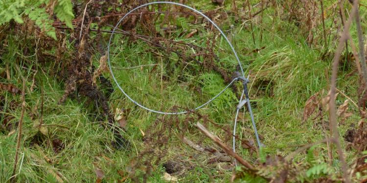 ban use of snares