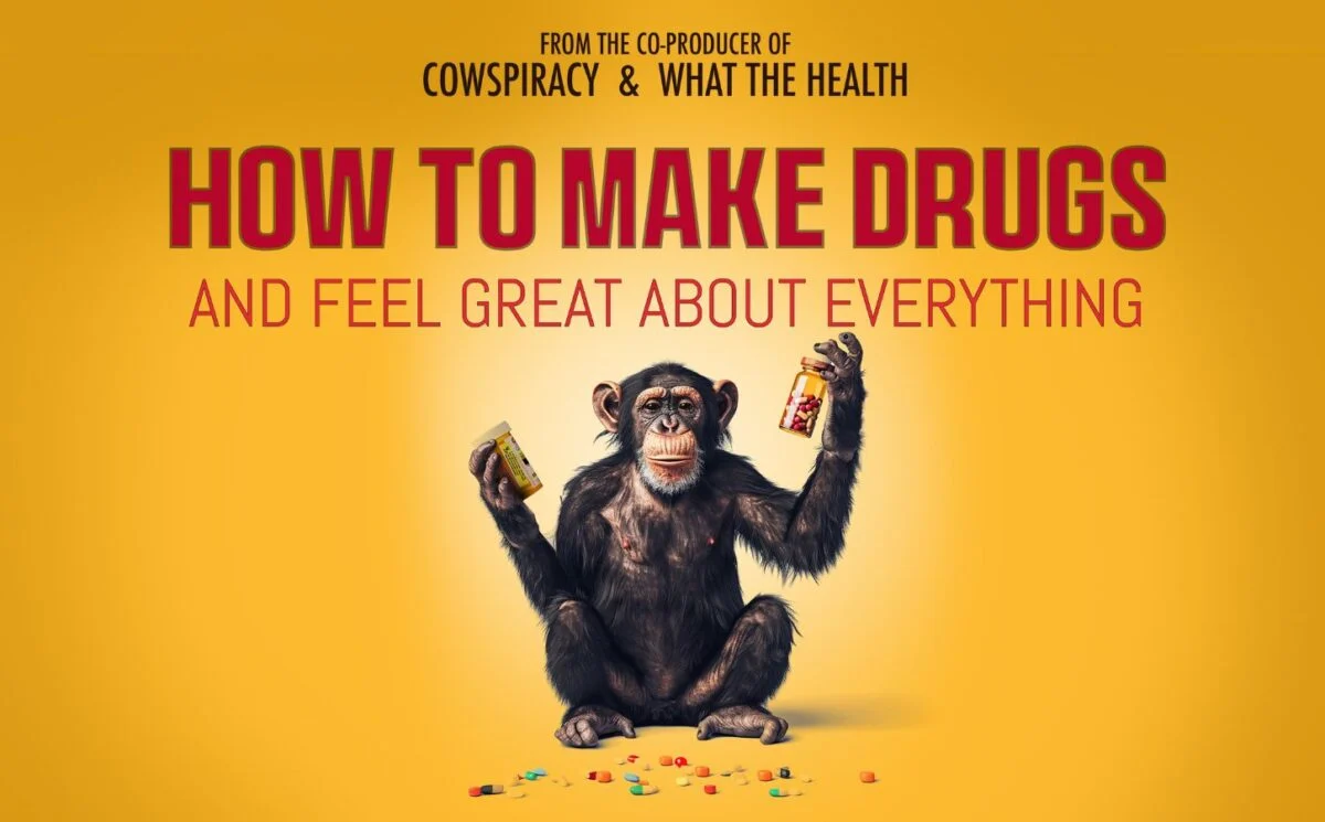 ‘How To Make Drugs’